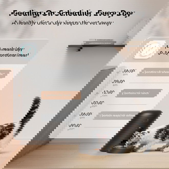 Petlibro Air -kissan ruoka-automaatti (Musta)