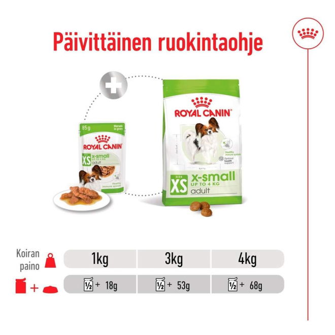 Royal Canin XS Adult märkäruoka 12 x 85 g