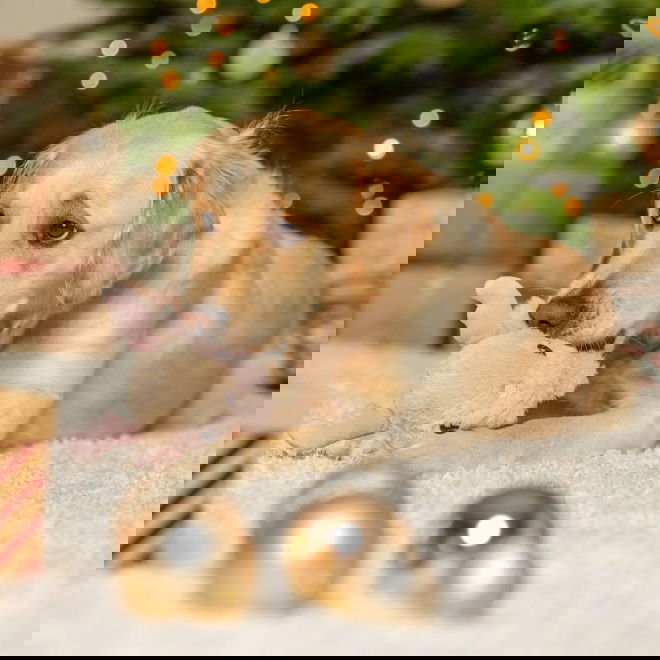 Trixie Xmas Poropehmolelu 18 cm