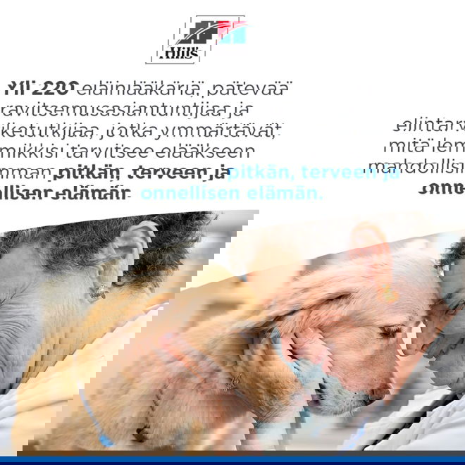 Hills Science Plan Dog Hypoallergenic Salmon 363 g