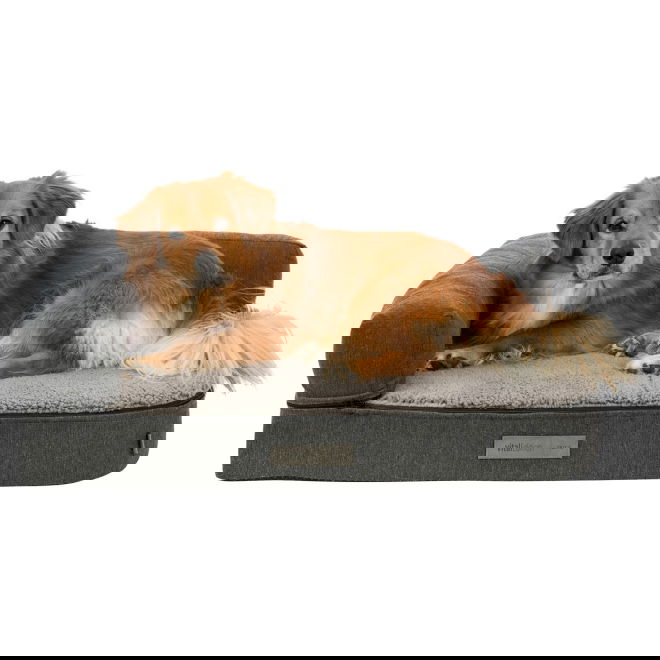 Koiran sohva Trixie Vital Bendson