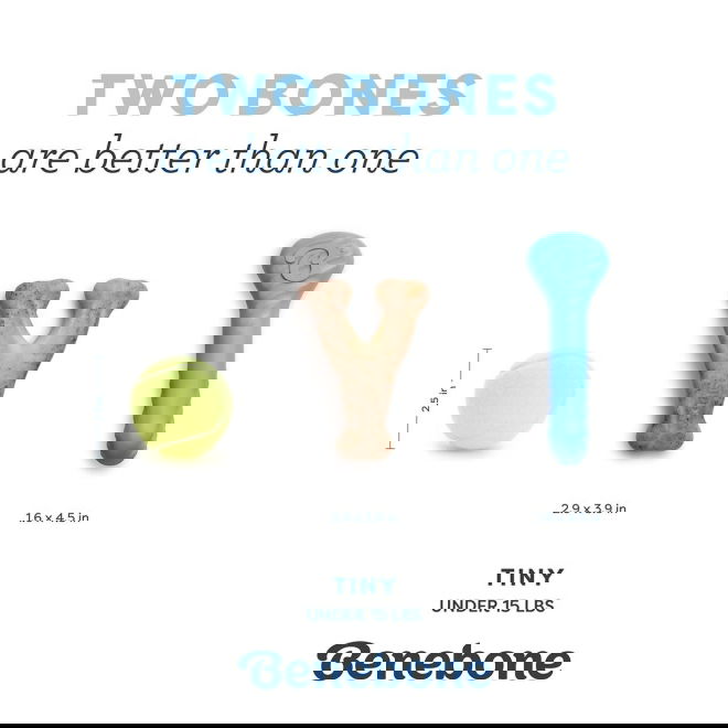 Benebone Puppy Rubber Bones Bacon Tiny 2 kpl