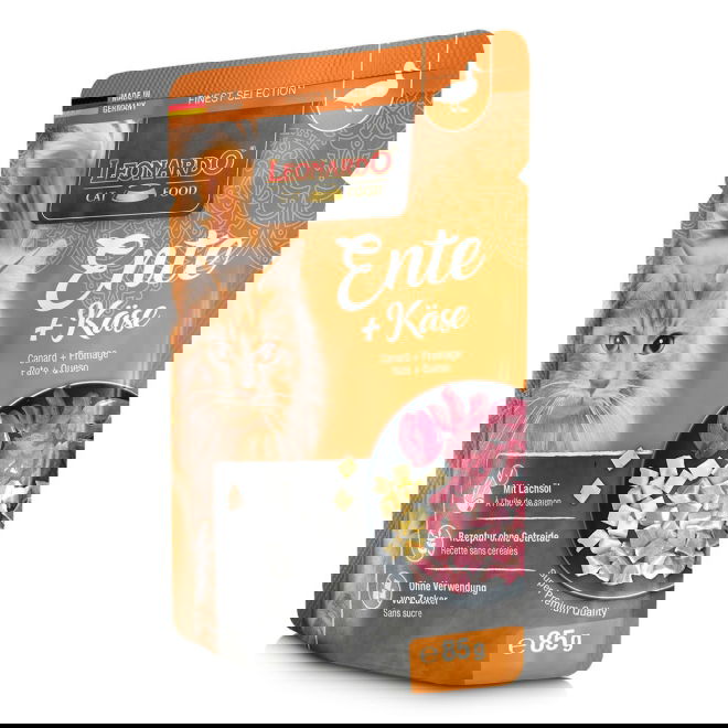 Leonardo ankka & juusto