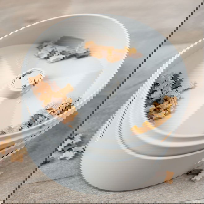 Trixie Dog Activity Buzzer