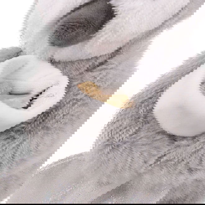 Rosewood Pingviinipehmo