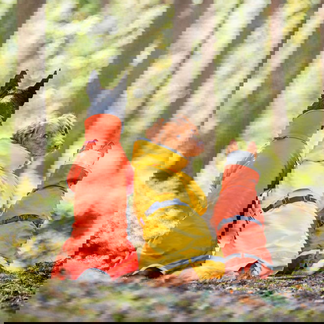 KuoriPomppa Lemonade