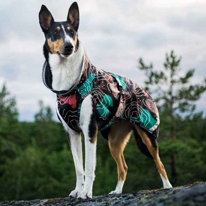 KevytPomppa koiran takki, kartta