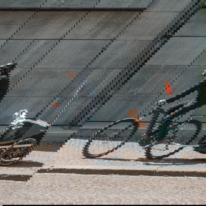 Py&ouml;r&auml;k&auml;rry koiralle Thule Bexey (L)