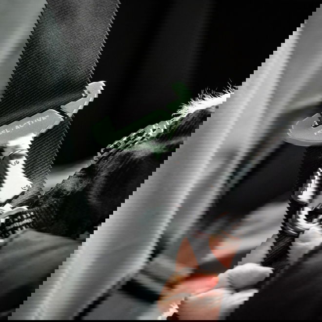 Koiran turvavy&ouml;kiinnike Feel Active