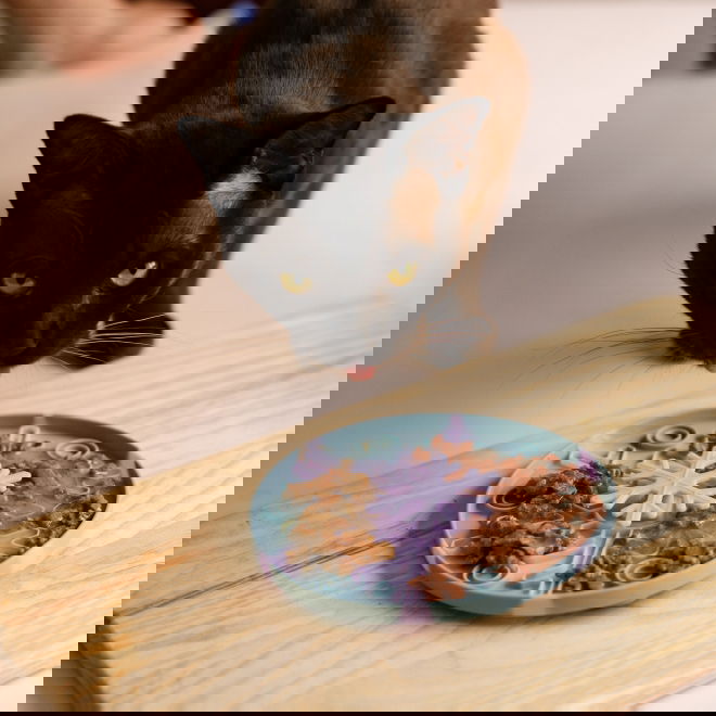 Little&Bigger Snowflake 3D-nuuskulautanen