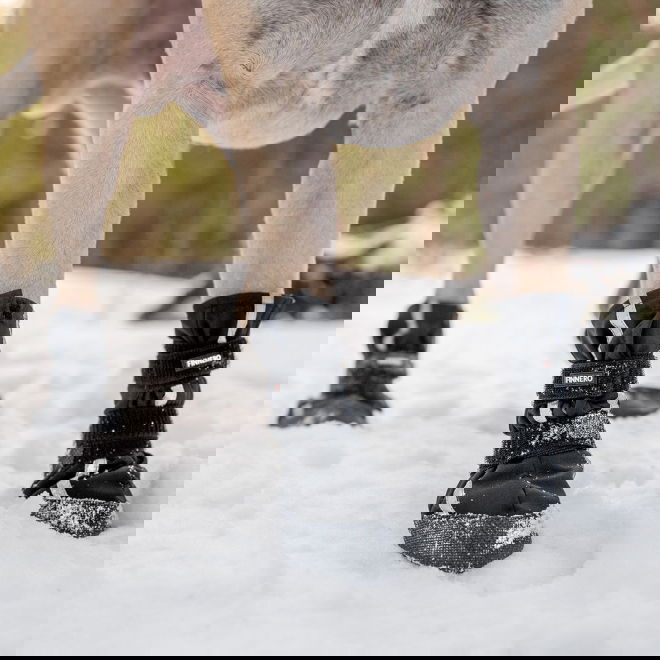 Finnero HALLA Softshell-tossut 4kpl, musta (XL)