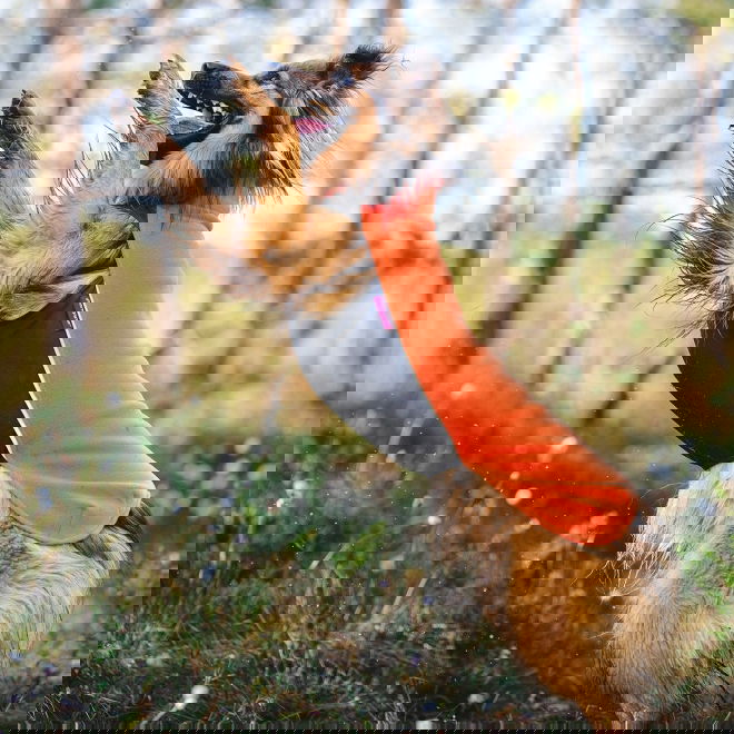 JumppaPomppa Habanero