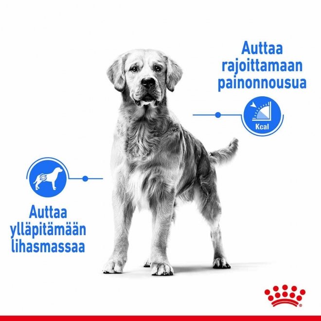 Royal Canin Maxi Light Weight Care