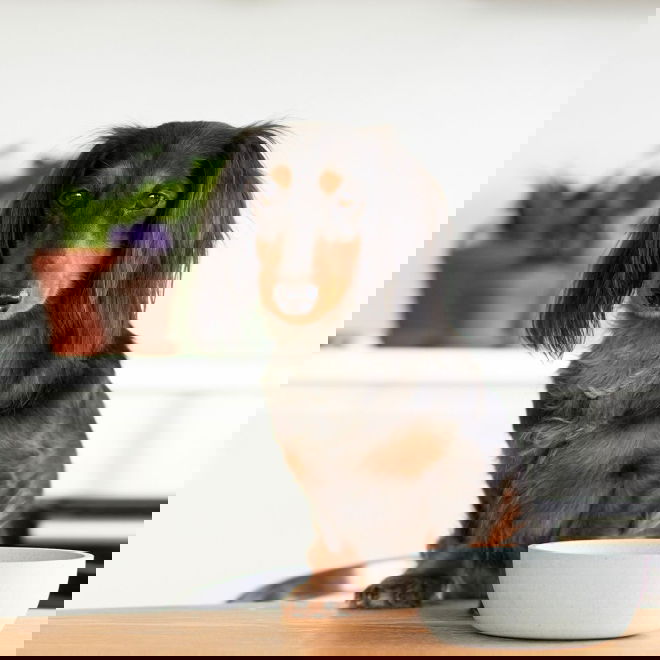 Kuppi District 70 bambu, Beige