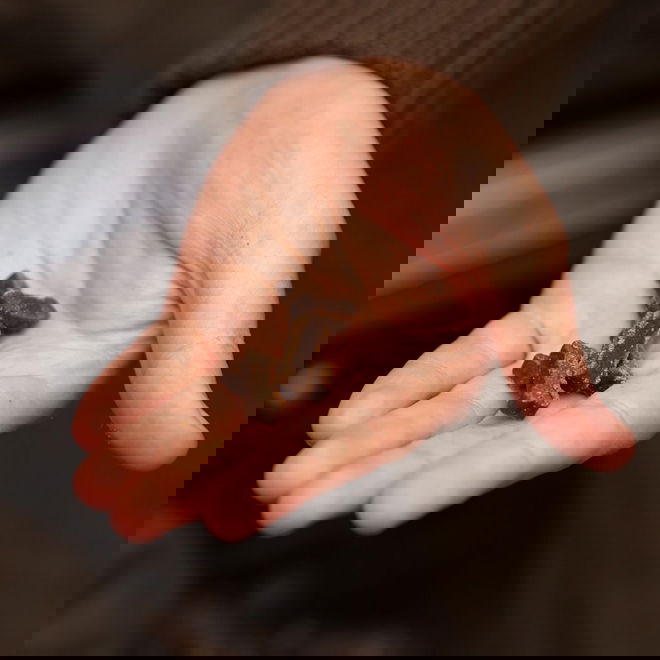 ESSENTIAL Duck Mini Delights 100g