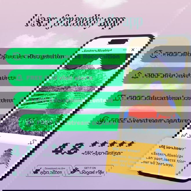 Bird Buddy -lintulauta kameralla
