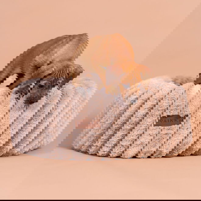 Ortopedinen peti PAIKKA round