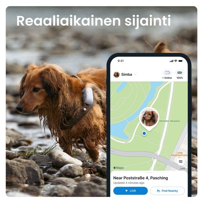 Tractive GPS-paikannin koiralle