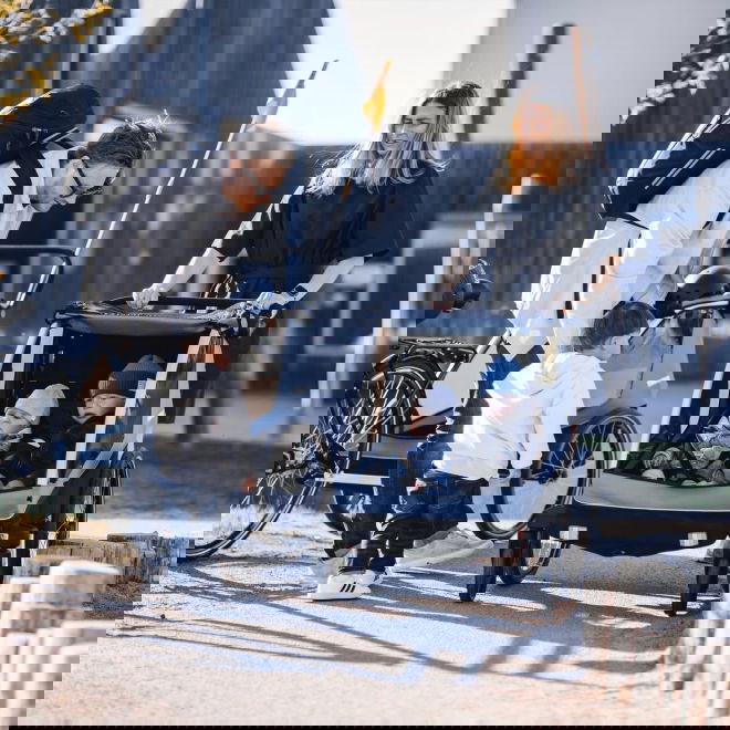 Thule Courier -koirankuljetusk&auml;rry