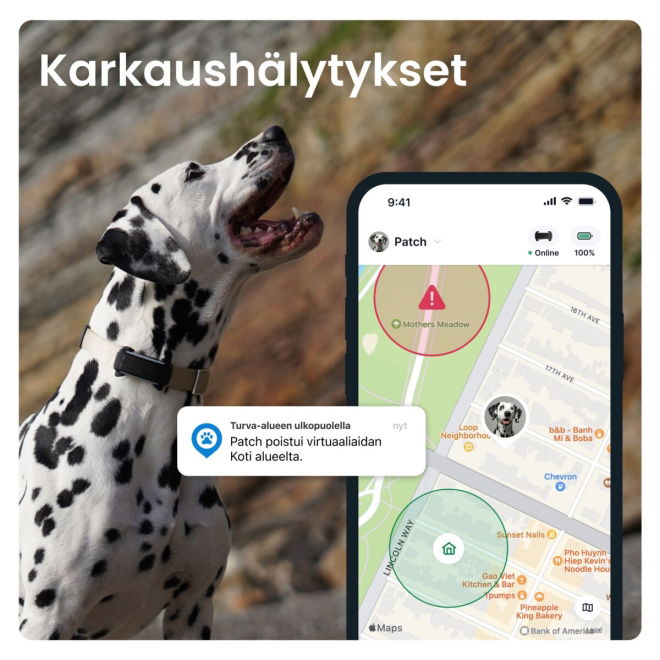 Tractive GPS koiralle DOG 6, musta