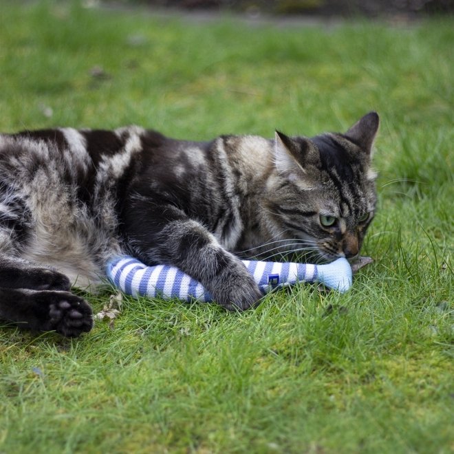 Battersea Catnip Kicker Fish