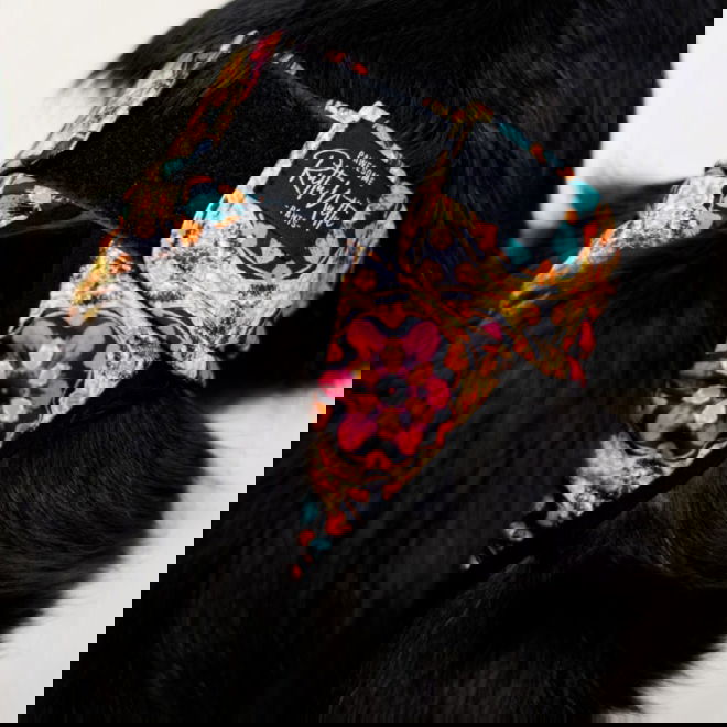 RuttuNuttu juoksup&ouml;ksyt kietaisumalli, Kaleido Rush