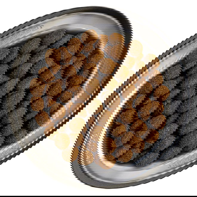 Belcando baseline Ranger Grain Free