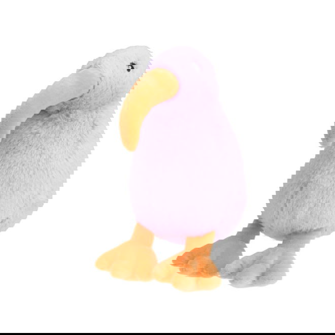 Little&Bigger All Stars Kiwilintu