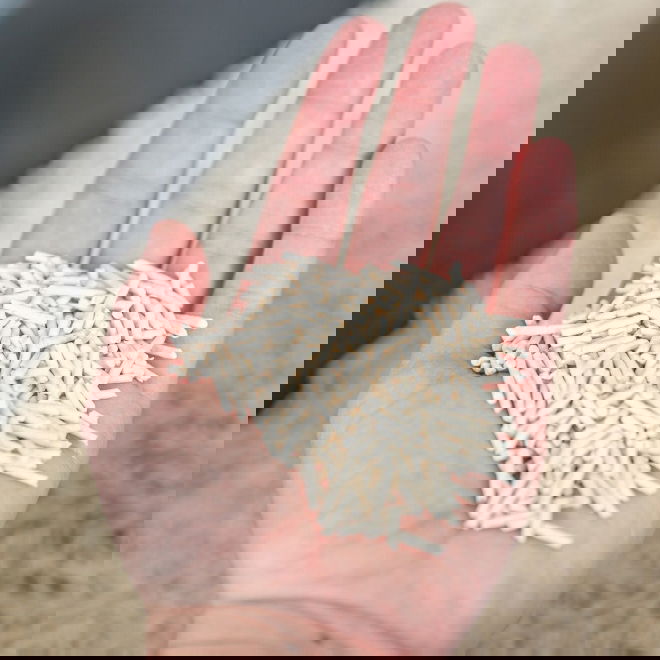 Tofu kissanhiekka paakkuuntuva Trixie