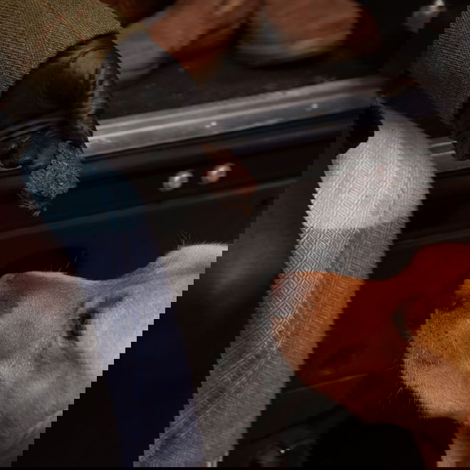 ESSENTIAL Liver Delights 250g