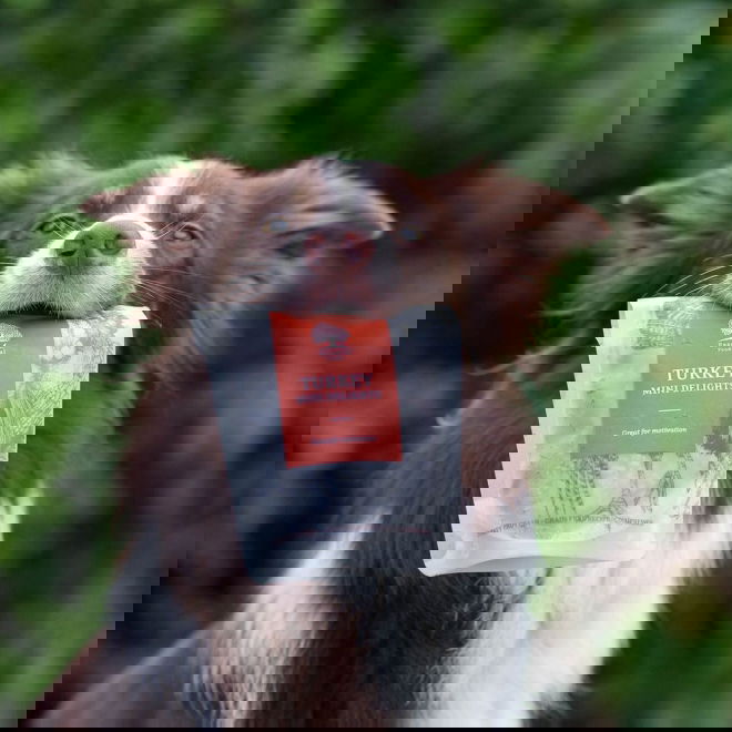 ESSENTIAL Turkey Mini Delights 100g