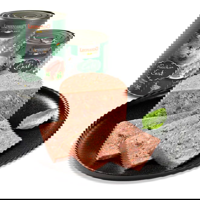 Leonardo Rich in ankka