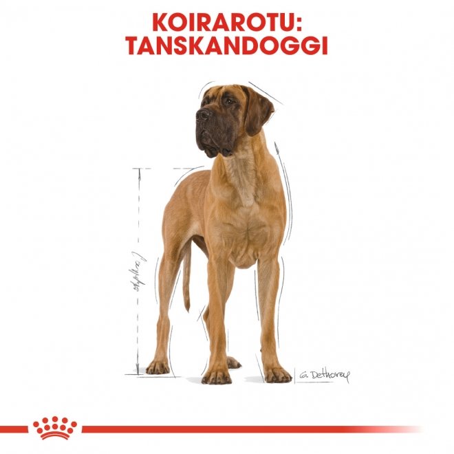 Royal Canin Great Dane Adult 12 kg