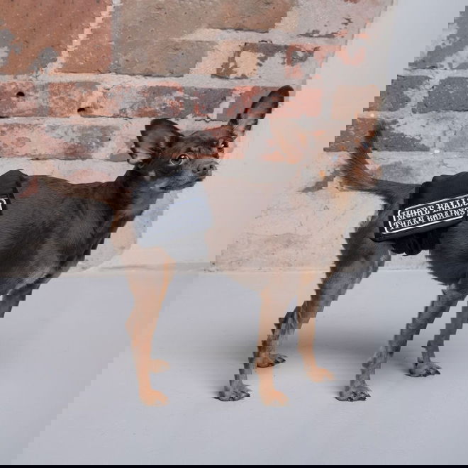 RuttuNuttu urosvyö, Balls