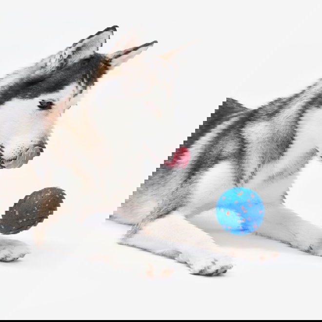 Cheerble Wicked Ball Air (Sininen)