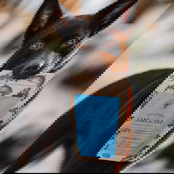 ESSENTIAL Lake&Sea Crackers 100g