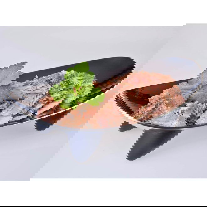 Feline Porta 21 Tonnikala & Kilohaili