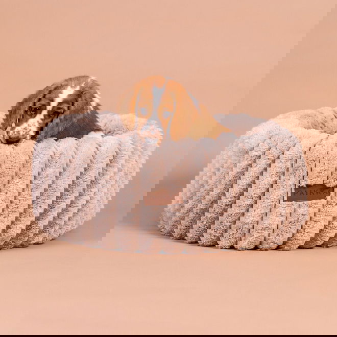 Ortopedinen peti PAIKKA round