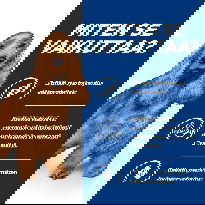 Hills Canine z/d Food Sensitivities 370 g