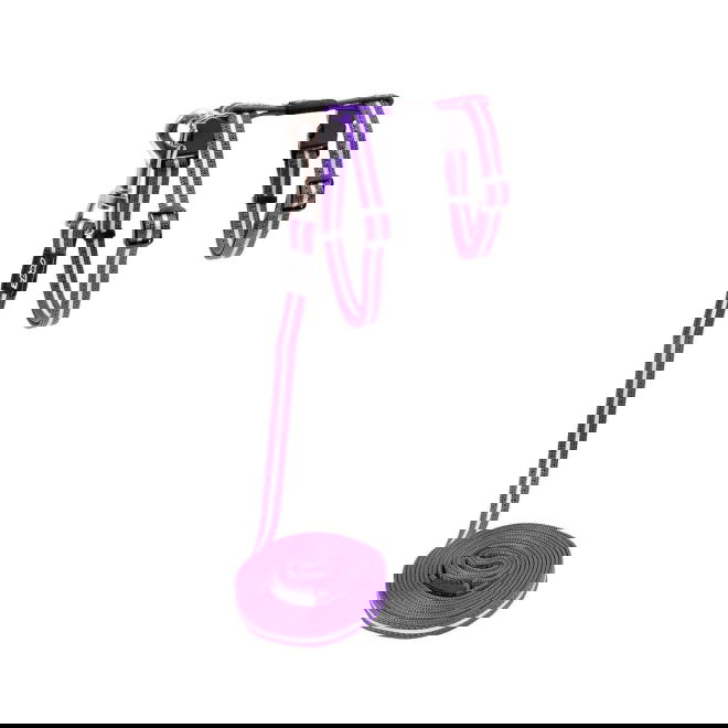 Rogz AlleyCat heijastava valjas-hihnasetti (Violetti)