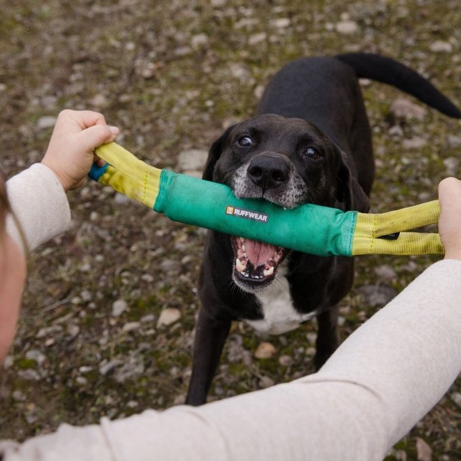 Ruffwear Pacific Loop -koiranlelu, turkoosi