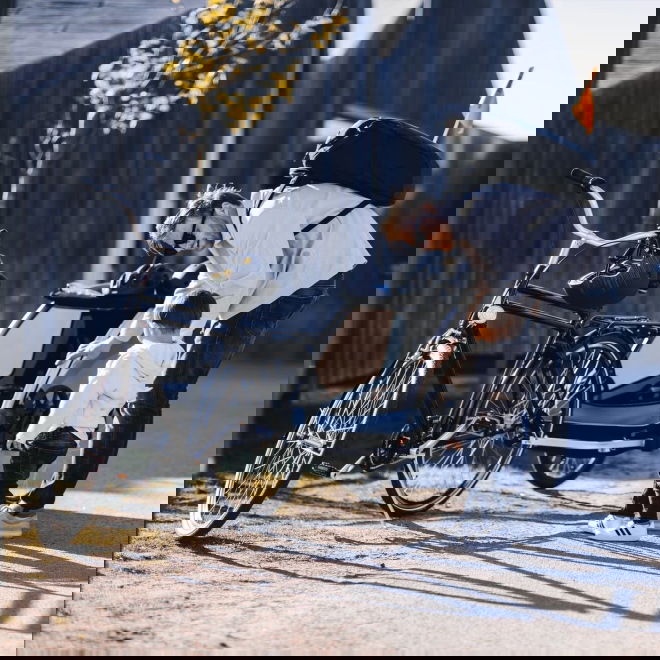 Thule Courier -koirankuljetusk&auml;rry