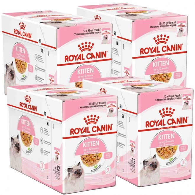 Royal Canin Kitten Jelly 85g, 48-pack