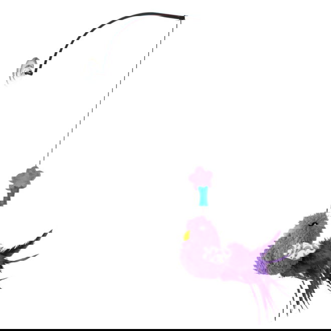 Kong Cat Connects Window Teaser