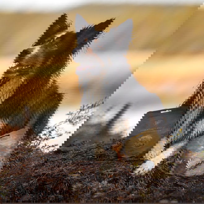 ESSENTIAL Sliced Venison&Duck 110g