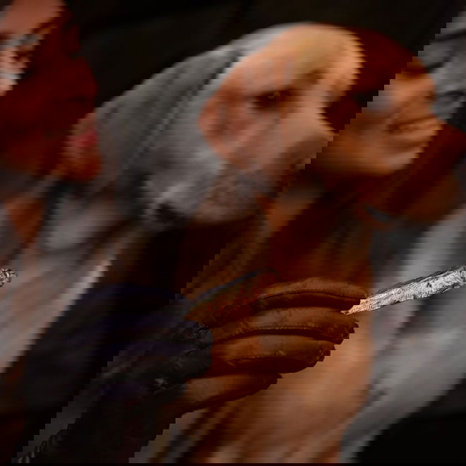 ESSENTIAL Tiny Fish Delights 90g