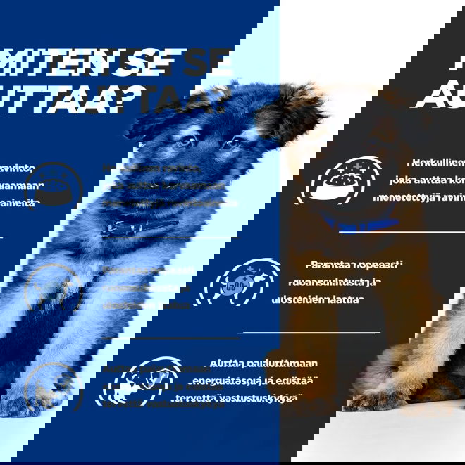 Hills Prescription Diet Puppy i/d wet