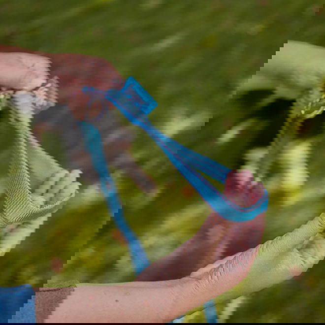 Loype Saxana Tracking Line