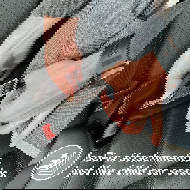 Koiran autoistuin KONG Ultimate