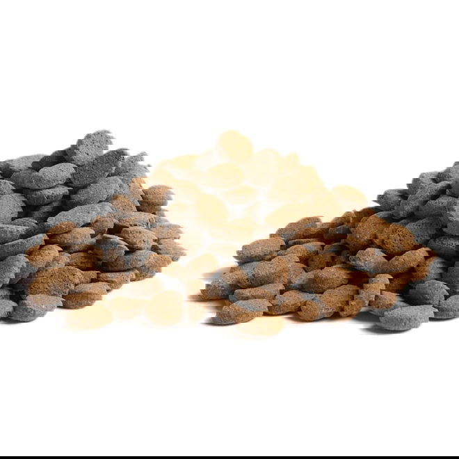 ESSENTIAL OLDER 10kg